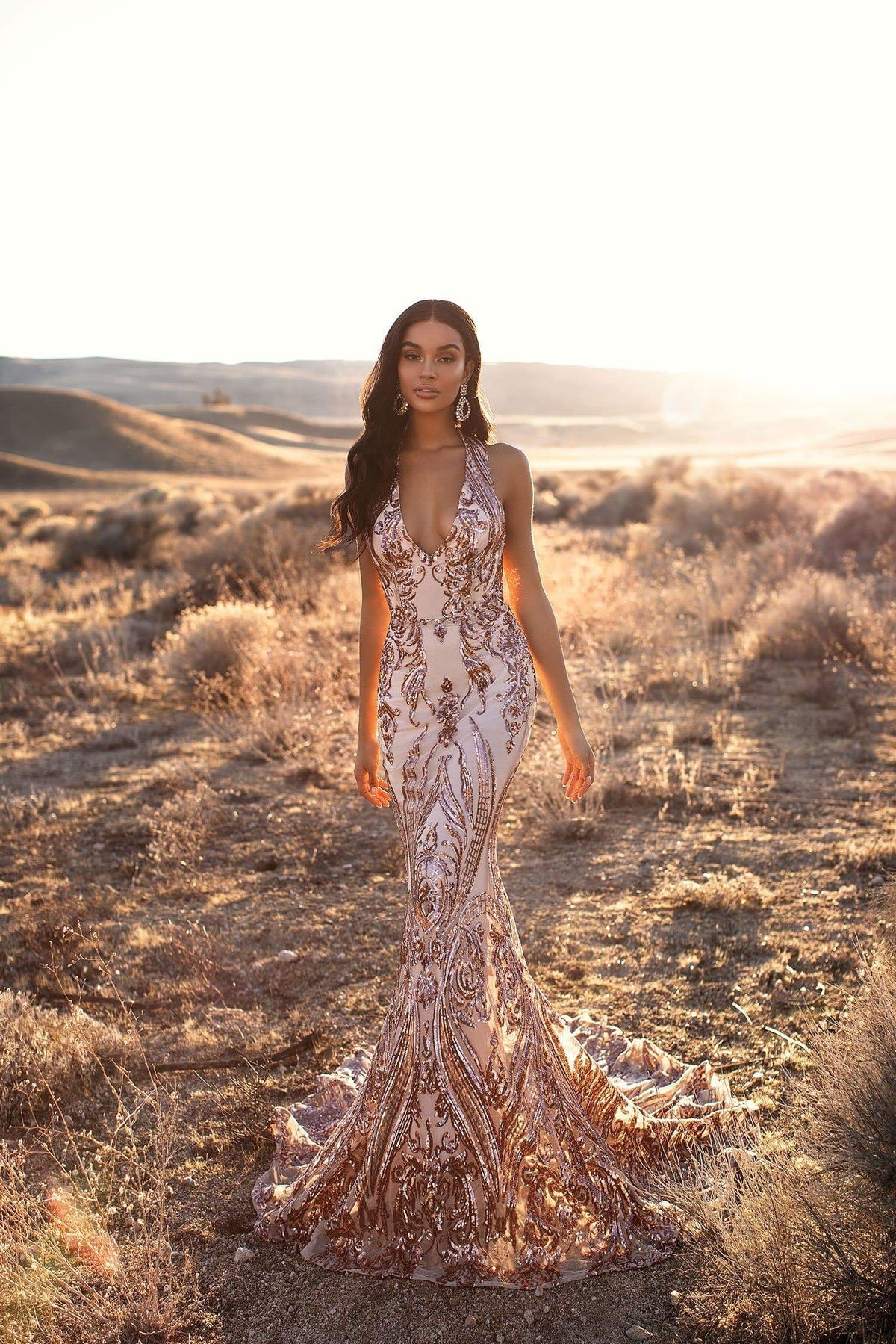 A&N Luxe Ariya Rose Gold Sequin Gown | Afterpay | Klarna A&N Luxe Label A&N Luxe Ariya Rose Gold Sequin Gown | Afterpay | Klarna A&N Luxe Label