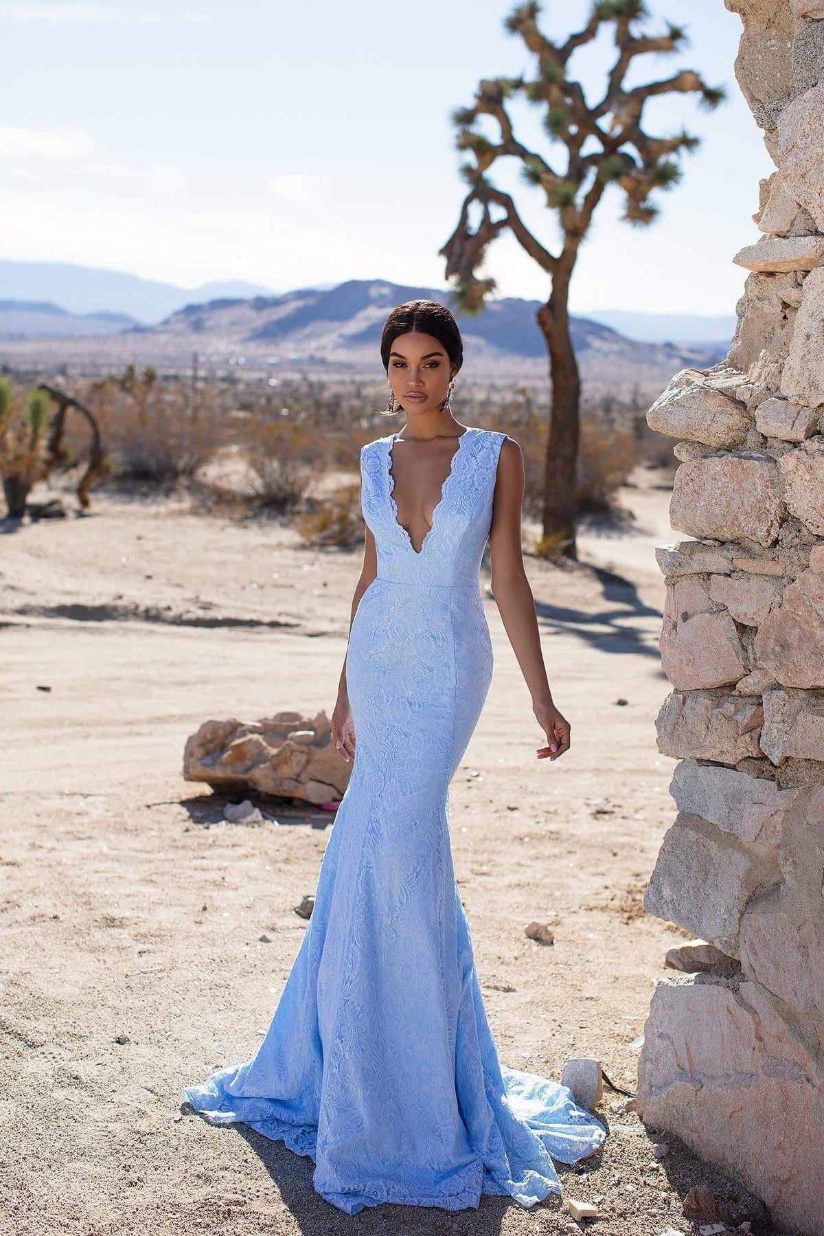 A&N Luxe Ivy - Sky Blue Lace Gown with Plunge Neck & Open Back – A&N Luxe  Label